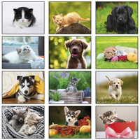 Puppies & Kittens Wall Calendar: 2027 Stapled