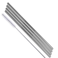 Straight Stainless Steel Straws: Set of 4 in Silver