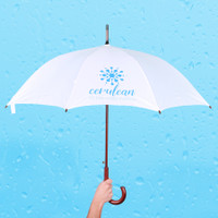 Executive Umbrella: 48" Arc With Hook Handle