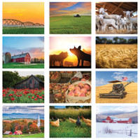 American Agriculture Wall Calendar: 2025 Spiral Bound