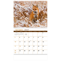 Wildlife Wall Calendar: 2027 Spiral Bound