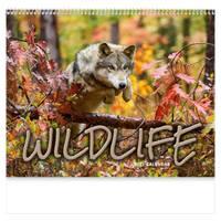 Wildlife Wall Calendar: 2027 Spiral Bound