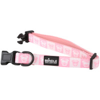 Dog Collar With Neoprene Backing: Extra Small