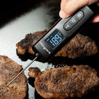 BLACKSTONE Infrared Thermometer And Probe Combo - HPG Brands
