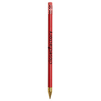 Wooden Stick Pen