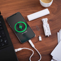 Lynks Charging Accessories Kit