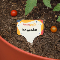 Evergreen Garden Stake (Single)