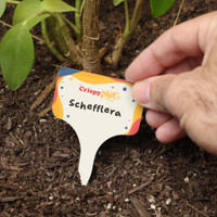 Evergreen 6 Pc. Garden Stake Set