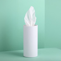 E-Z Sneezy Tissue Dispenser