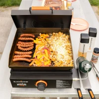 Blackstone OTG 17'' Tabletop Griddle With Hood