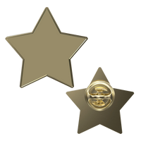 Digistock Lapel Pins: Star
