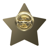 Digistock Lapel Pins: Star