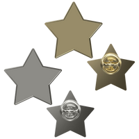 Digistock Lapel Pins: Star