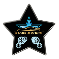 Digistock Lapel Pins: Star