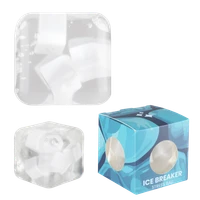 Ice Breaker Stress Ball