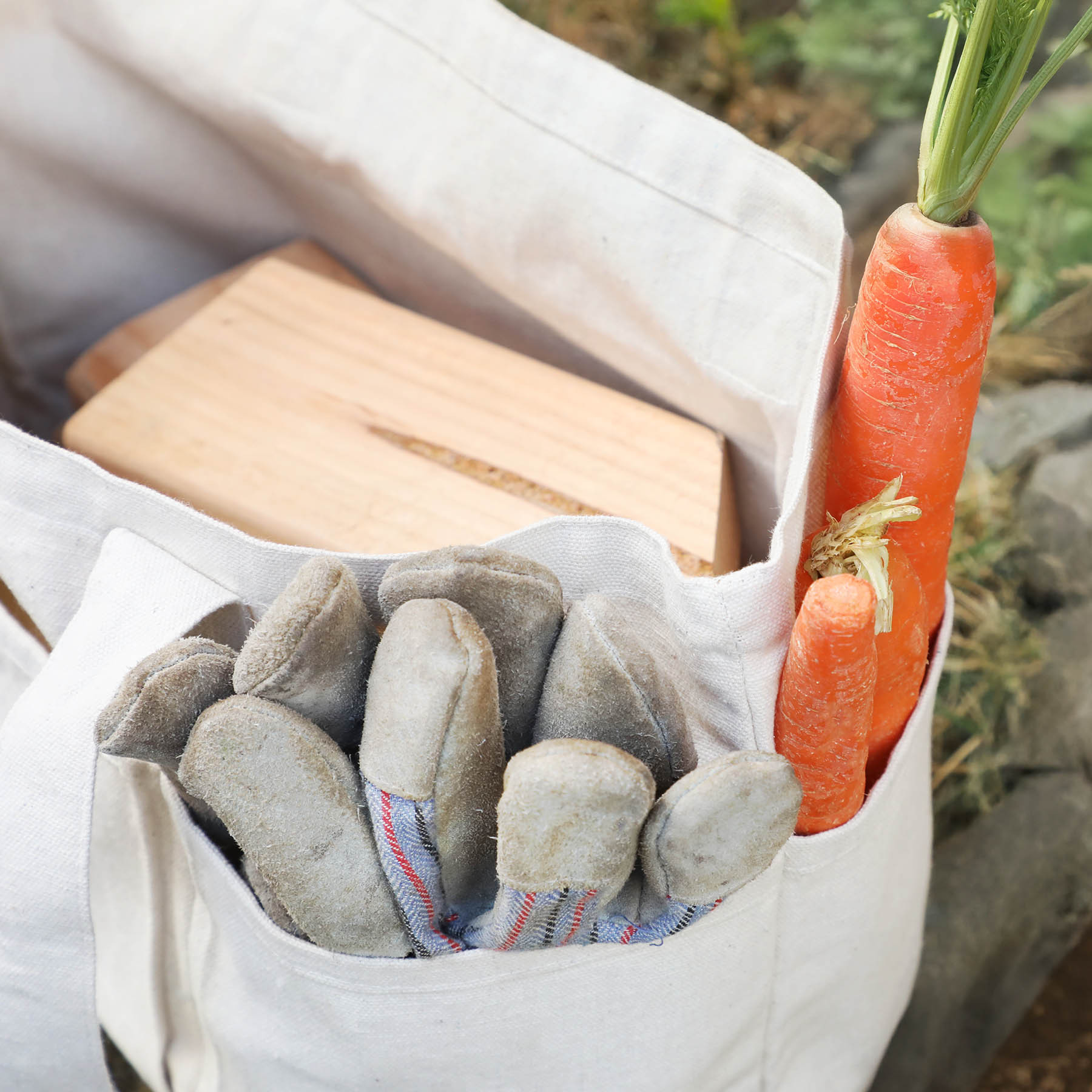 Evergreen Garden Tool & Produce Bag - HPG Brands