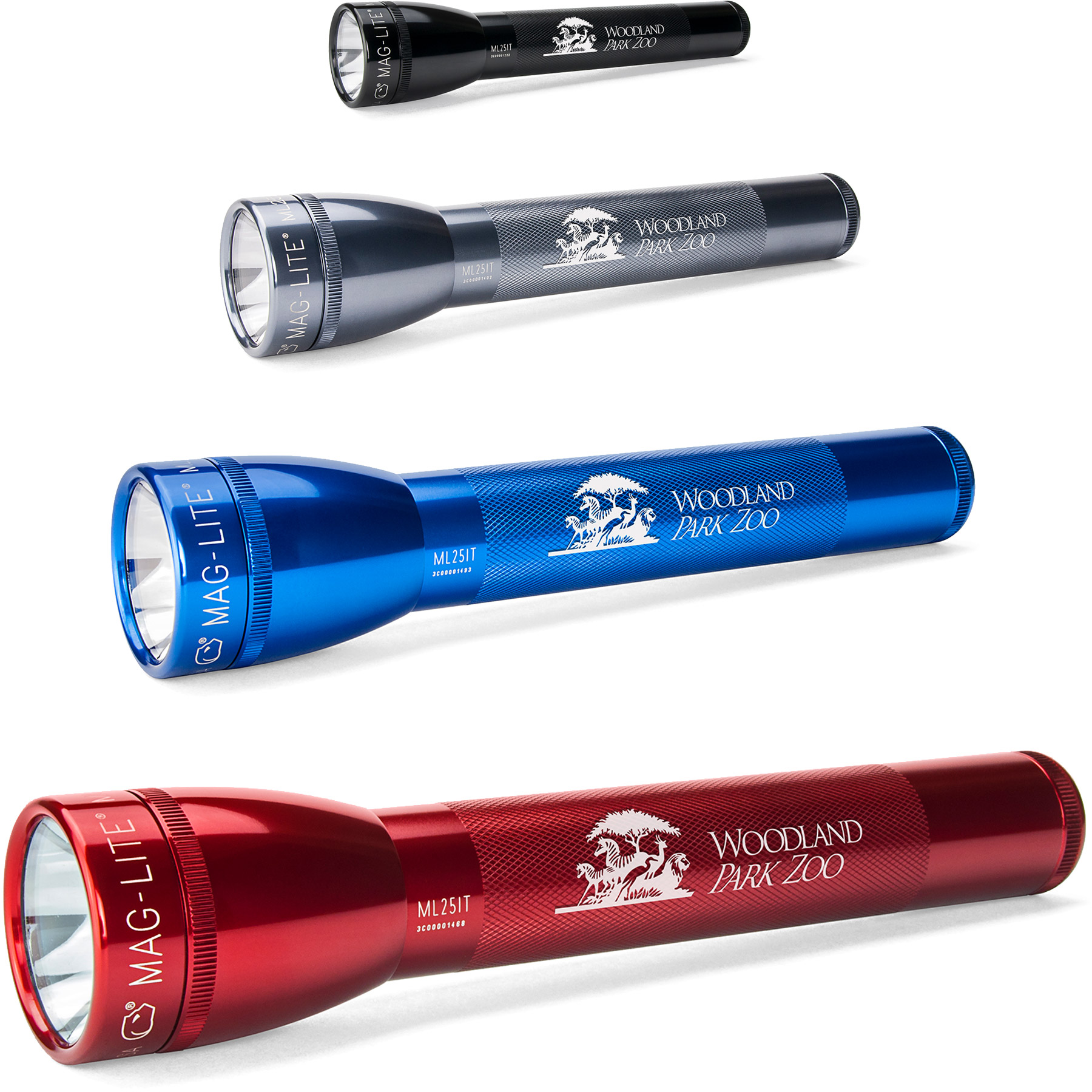 3 Cell C Maglite® Xenon Flashlight - HPG Brands