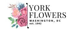 York Flowers