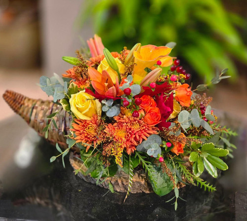 Cornucopia Cornucopia