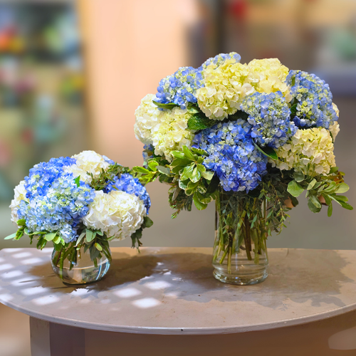 Hydrangea Clouds