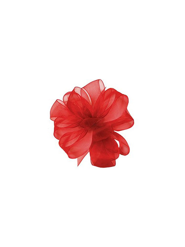 Sheer Red Ribbon