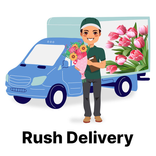 EXPRESS  Rush Delivery