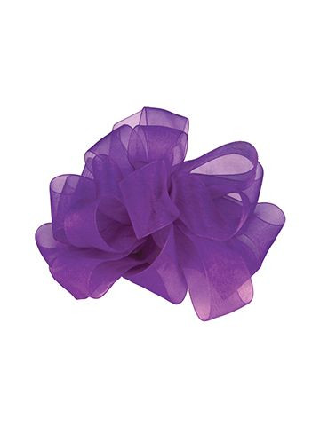 Sheer Purple Ribbon
