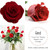 September Long Stemmed Red Roses Special