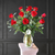 September Long Stem Red Roses Special