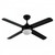 122cm 48inch Black AC Ceiling Fan With Light 60W 3 Speed
