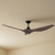 152cm 60-inch Black-Walnut DC Ceiling Fan Remote Control 3 Blade 35W