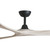 Domenech 183cm 72-inch Black-Oak DC Ceiling Fan Remote Control 3 Blade 39W 6 Speed