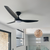 Saffron 142cm 56-inch Black DC Ceiling Fan With Light Remote Control 3 Blade 40W