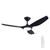 Saffron 142cm 56-inch Black DC Ceiling Fan With Light Remote Control 3 Blade 40W