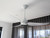 Pisacane 142cm 56-inch White DC Ceiling Fan With Light Remote Control 3 Blade 39W Uplight