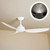 Pisacane 122cm 48-inch White DC Ceiling Fan Uplight With Light Remote Control 3 Blade 39W