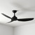 Pisacane 122cm 48-inch Black DC Ceiling Fan Remote Control 3 Blade 39W 6 Speed