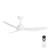 Pisacane 122cm 48-inch White DC Ceiling Fan Remote Control 3 Blade 39W 6 Speed