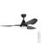 Tornatore 114cm 45-inch Black DC Ceiling Fan With Light Remote Control 3 Blade 15W