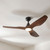 Tornatore 114cm 45-inch Black-Walnut DC Ceiling Fan With Light Remote Control 3 Blade 15W