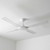 122cm 48-inch White DC Ceiling Fan Remote Control 4 Blade 40W 7 Speed