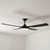 122cm 48-inch Black DC Ceiling Fan With Light Remote Control 4 Blade 40W