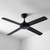 122cm 48-inch Black AC Ceiling Fan 4 Blade 60W 3 Speed