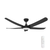 132cm 52-inch Black DC Ceiling Fan With Light Remote Control Convertible 3-4-5 Blades 38W