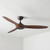 Valbuena 142cm 56-inch Bronze-Walnut DC Ceiling Fan Smart Remote Control 3 Blade 39W 6 Speed