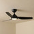 132cm 52-inch Black DC Ceiling Fan With Light Remote Control Smart 3 Blade 33W
