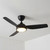132cm 52-inch Black DC Ceiling Fan With Light Remote Control Smart 3 Blade 33W