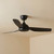 132cm 52-inch Black DC Ceiling Fan Remote Control 3 Blade Smart 33W 6 Speed