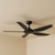 132cm 52-inch Black DC Ceiling Fan Remote Control Smart 5 Blade 33W 6 Speed