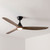 Penas 142cm 56-inch Black-Teak DC Ceiling Fan With Light Smart WIFI Remote 3 Blade 33W